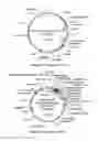 Fig. 11 - Biocontrol