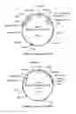 Fig. 13 - Biocontrol
