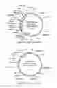 Fig. 14 - Biocontrol