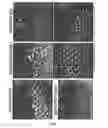 Fig. 07 - Methods And Compositions Comprising A Drosophila Model Of Amyotrophic Lateral Sclerosis