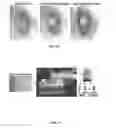 Fig. 09 - Methods And Compositions Comprising A Drosophila Model Of Amyotrophic Lateral Sclerosis