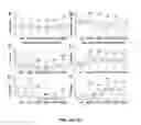 Fig. 13 - Methods And Compositions Comprising A Drosophila Model Of Amyotrophic Lateral Sclerosis