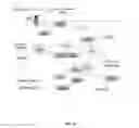 Fig. 15 - Methods And Compositions Comprising A Drosophila Model Of Amyotrophic Lateral Sclerosis