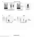 Fig. 33 - Methods And Compositions Comprising A Drosophila Model Of Amyotrophic Lateral Sclerosis