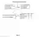 Fig. 39 - Methods And Compositions Comprising A Drosophila Model Of Amyotrophic Lateral Sclerosis