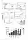 Fig. 03 - Transgenic non-human animal comprising a mutant alpha-synuclein