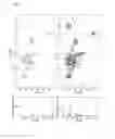 Fig. 07 - Transgenic non-human animal comprising a mutant alpha-synuclein