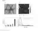 Fig. 17 - Transgenic non-human animal comprising a mutant alpha-synuclein