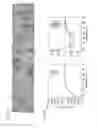 Fig. 20 - Transgenic non-human animal comprising a mutant alpha-synuclein