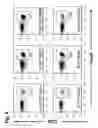 Fig. 05 - COMPOSITION FOR INDUCING PROLIFERATION OR ACCUMULATION OF REGULATORY T CELLS