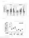 Fig. 07 - COMPOSITION FOR INDUCING PROLIFERATION OR ACCUMULATION OF REGULATORY T CELLS