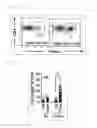 Fig. 08 - COMPOSITION FOR INDUCING PROLIFERATION OR ACCUMULATION OF REGULATORY T CELLS