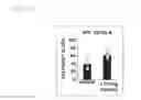 Fig. 09 - COMPOSITION FOR INDUCING PROLIFERATION OR ACCUMULATION OF REGULATORY T CELLS