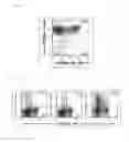 Fig. 16 - COMPOSITION FOR INDUCING PROLIFERATION OR ACCUMULATION OF REGULATORY T CELLS