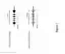 Fig. 02 - NON-HUMAN ANIMALS HAVING A HUMANIZED A PROLIFERATION-INDUCING LIGAND GENE