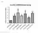 Fig. 05 - Animal model for epilepsy and method for producing the same