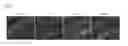 Fig. 09 - Animal model for epilepsy and method for producing the same