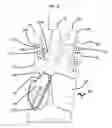 Fig. 07 - Golf gloves