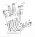 Fig. 01 - POLYMERIC GLOVES HAVING GRIP FEATURES
