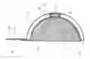Fig. 01 - SOLAR-POWERED VENTILATED HAT WITH LIGHT CHASING FUNCTION