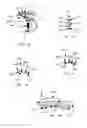 Fig. 06 - Method and apparatus for diverting sweat, liquid, moisture, or the like from an eye
