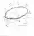 Fig. 01 - Liquid Collector Mountable to an Object for Collecting Liquid from the Object