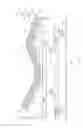 Fig. 02 - FOOTBOARD HAVING INTEGRATED FOOT CUSHION