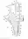 Fig. 03 - Article of footwear with a stretchable upper and an articulated sole structure