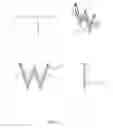 Fig. 07 - Interpersonal Relationship-Indicative Jewelry