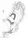 Fig. 02 - Three toed footwear