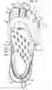 Fig. 04 - Three toed footwear