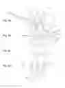 Fig. 07 - Advertisement element, a method of creating an advertisement element and a method of capturing advertisement images on an advertisement element