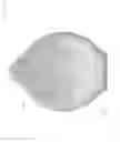 Fig. 10 - FISHING JIG