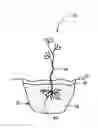 Fig. 01 - HYDRATION MAINTENANCE APPARATUS AND METHOD