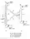 Fig. 01 - Distillation apparatus