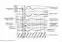 Fig. 01 - Method and apparatus for detecting misfire of engine