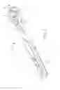 Fig. 02 - Ratchet wrench