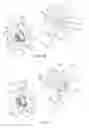 Fig. 11 - Quick release skewer assembly