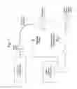 Fig. 02 - Polyphosphazenes