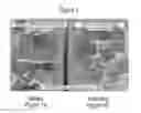 Fig. 02 - PARTICULATE WOOD PRESERVATIVE AND METHOD FOR PRODUCING THE SAME