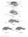 Fig. 02 - Microfluidic surface processing device and method