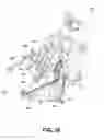 Fig. 27 - Holder apparatus for avian birds, and associated method