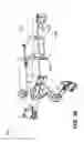 Fig. 32 - Holder apparatus for avian birds, and associated method