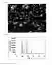 Fig. 08 - Metal complex, and adsorbent material, storage material and separation material comprising metal complex