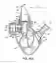 Fig. 08 - Nasal administration