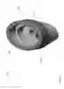 Fig. 16 - Nail sanitizer tool
