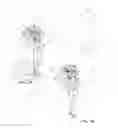 Fig. 02 - MISTER-EQUIPPED UMBRELLA SYSTEM