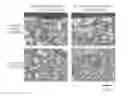 Fig. 01 - High strength cold-rolled steel sheet and manufacturing method therefor