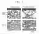 Fig. 03 - High strength cold-rolled steel sheet and manufacturing method therefor