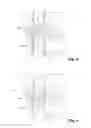 Fig. 03 - Method for producing a formed and at least regionally hardened sheet metal component